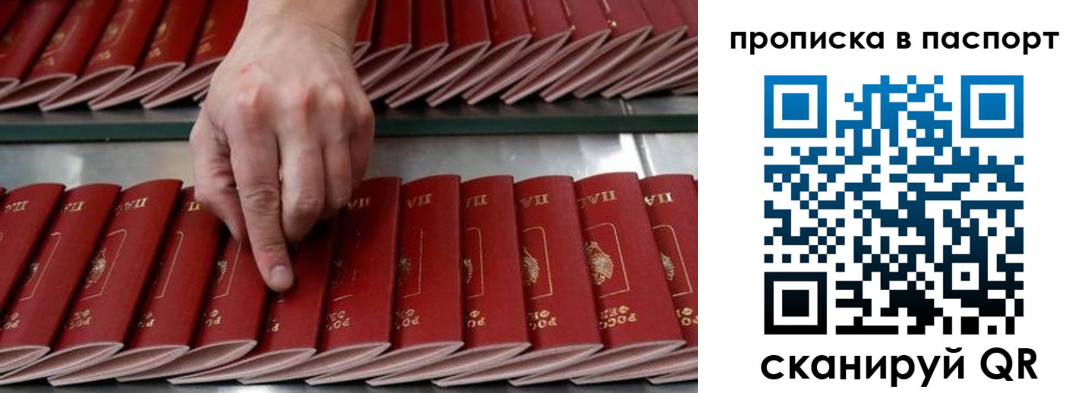 регистрация для школы в Новороссийске